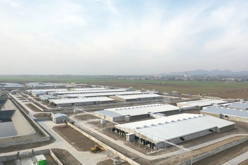 鄭州諾普助力河南牧原股份公司汝州產業園